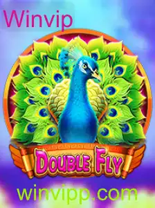 Descubra o Fascinante Mundo de DoubleFly e a Palavra-Chave Winvip