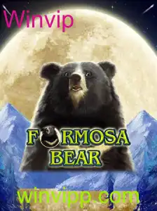 Descubra o Mundo de FormosaBear: Uma Jornada com Winvip