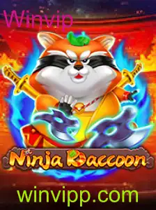 Descubra o Mundo de Aventura de NinjaRaccoon e Ganhe com Winvip